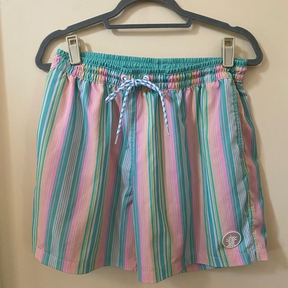 Chubbies Colorful Striped Men’s Swim Trunks Bottoms Shorts Size L 5.5” Pastel